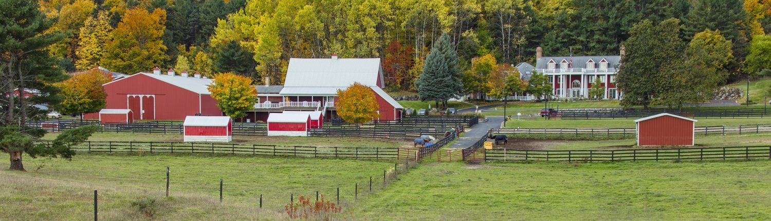 Black Star Farms Suttons bay with horses feeding in the paddocks and the Inn in the background.