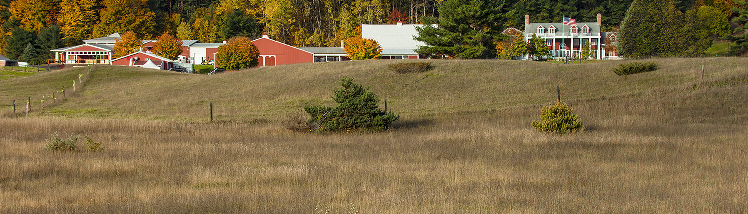 View of Black Star Farms Winery Estate in Suttons Bay with fall colors.