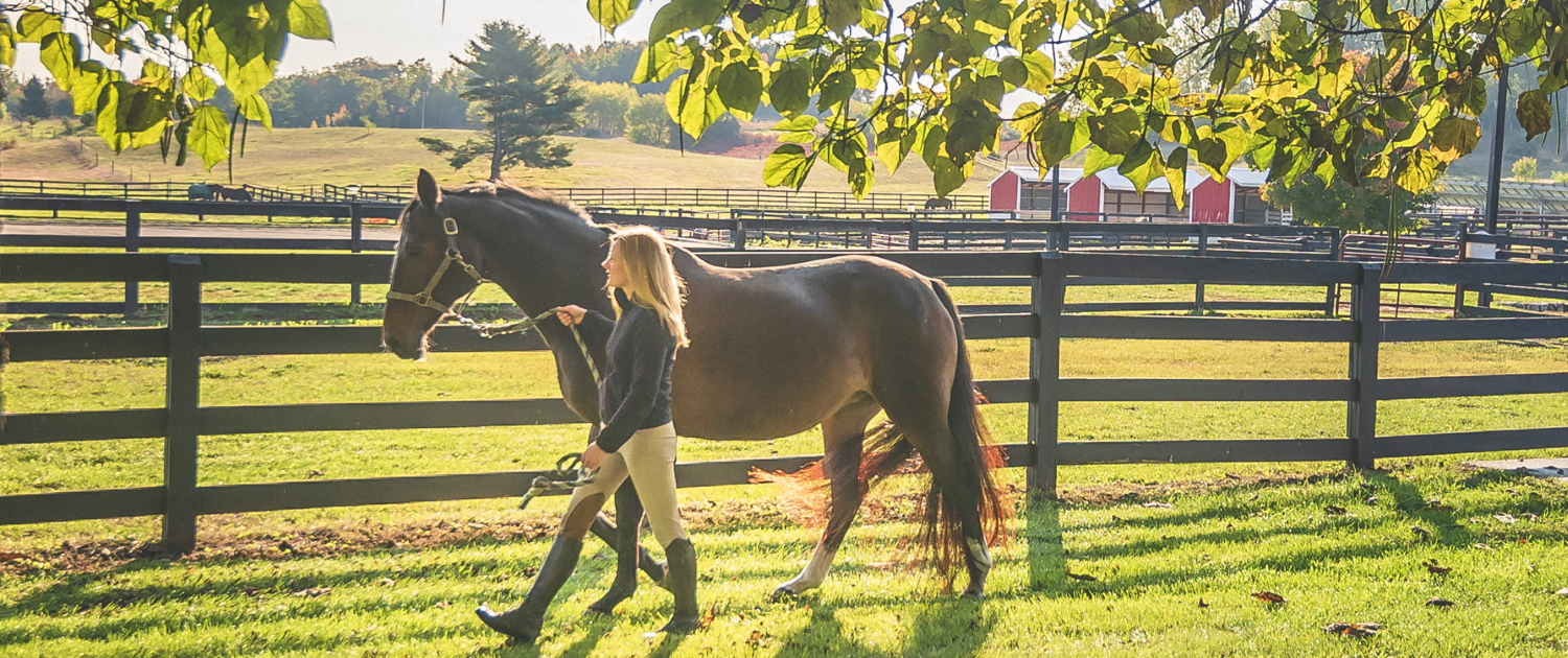 Woman walking her horse in front of the stables at Black Star Farms Suttons Bay.