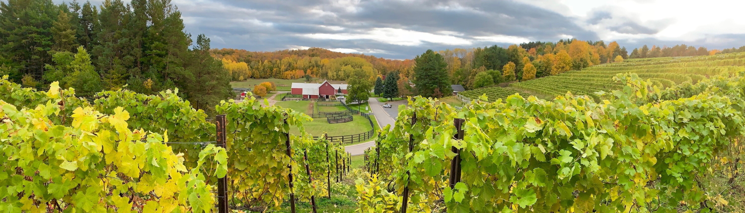 Fall farm view from Black Star Farms Suttons Bay vineyard