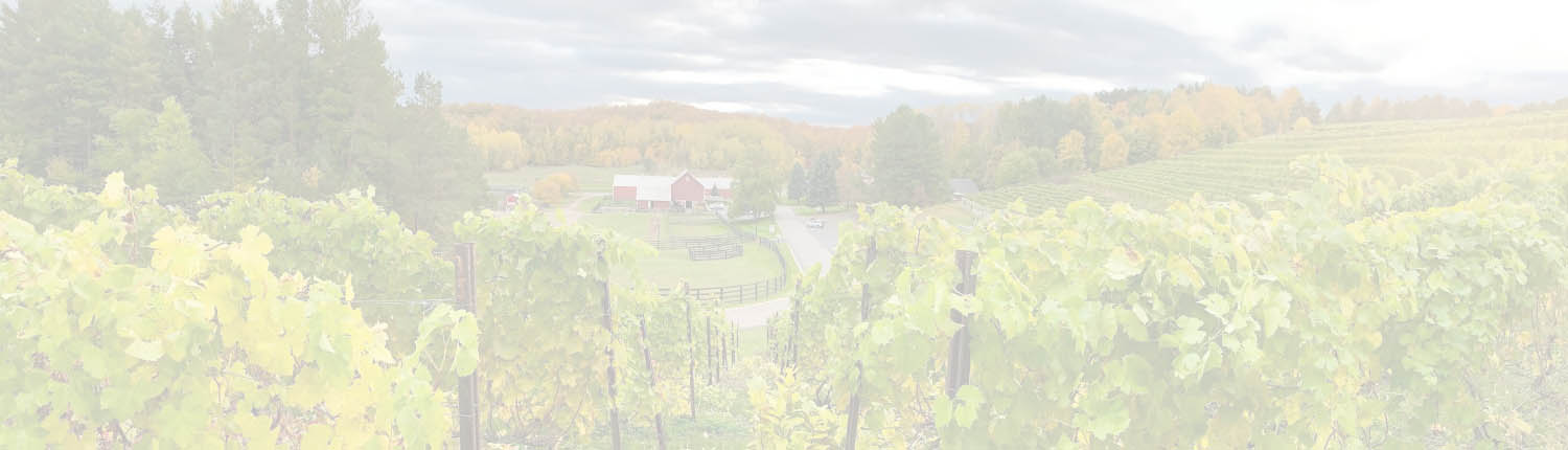 Suttons Bay Vineyard Fall 2019 Website Feature copy