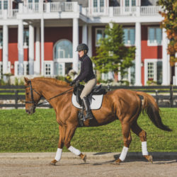 Woman riding horse with the Inn at Black Star Farms in the background.