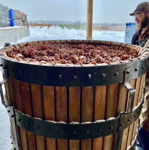 Frozen Grapes in Press 2022 Square