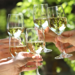 Close up of people toasting white wine outside.