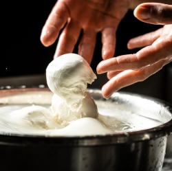 Close up of a person making fresh mozzarella.