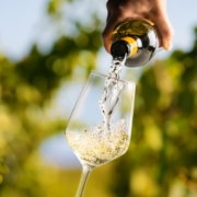 White wine being poured into a glass in the vineyard at top Michigan wineries near Traverse City