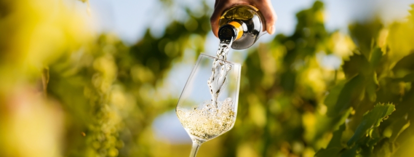 White wine being poured into a glass in the vineyard at top Michigan wineries near Traverse City