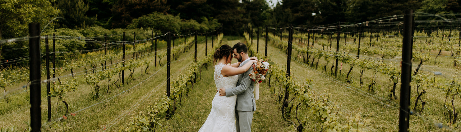 Vineyard Height Bride and Groom June 12th